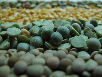 Legumes